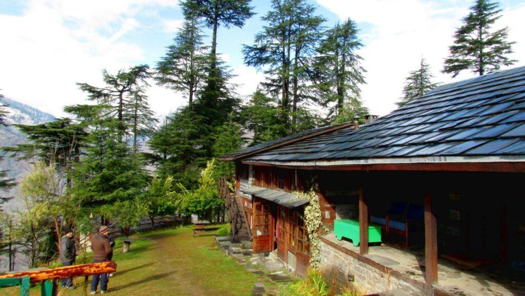 A beautiful stay set amidst the Conifer Trees. 