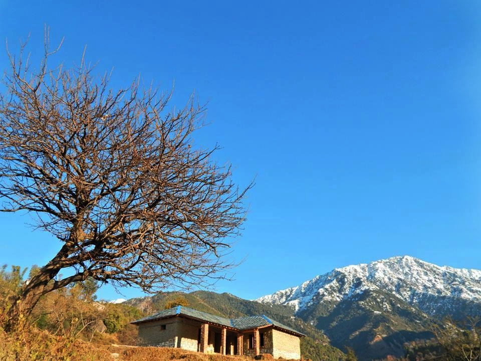 Cottage with the backdrop of Himalayan Hills
